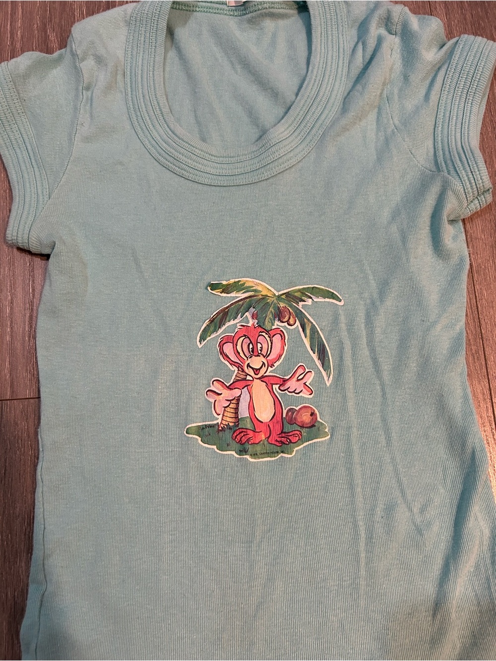 Vintage 1970s/80sLight Blue Short Sleeve Tee with Monkey Graphic small